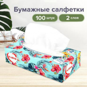 Салфетки 20 х 20 см 2-х слойные 100 листов в картонном боксе 